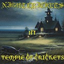 Night Crickets - Temple of Crickets