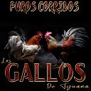 Los Gallos De Tijuana - Francisco Sarabia