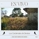 Los Cardenales de Sinaloa - Polca Instrumental En Vivo