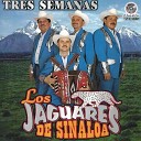 Los Jaguares De Sinaloa - Estoy Enamorado