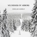 Wilderness of Mirrors - Woodland Ghosts IV Anhedonia