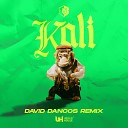 David Dancos feat Brytiago - Kali David Dancos Remix