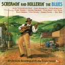Alvin Youngblood Hart - Screamin Hollerin The Blues