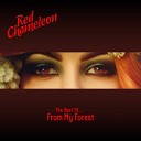 Red Chameleon - The Rain Music