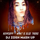 DJ ZOSH MASH UP - 08 ROYKSOPP YUDZHIN SERG SHENON RAKURS COX DJ ZOSH WHAT ELSE IS THERE MASH…