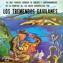 Los Tremendos Gavilanes - Garcia Y Zamarripa