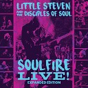 Little Steven feat The Disciples Of Soul - Slow Down Intro Live 2017