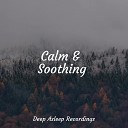 Massage Calming Sounds Lullaby Babies - Fresh Forest Air