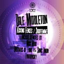 Dale Middleton - Sudofemme Bastards of Funk Sonic Union Remix
