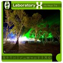 Laboratory X - Experiment 2 Insects Mushrooms Mix