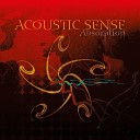 Acoustic Sense John Sund - Absorption