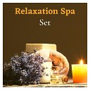 Spa Music Relaxation Meditation - Holistic Harmony Music to Relax in Free Time