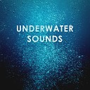 Deep Ocean Relax - Underwater Sounds Diving into Sleep and Detente…