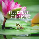 Calming Forest - Frog Concert at the Pond Pt 4