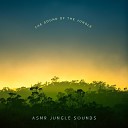 ASMR Jungle Sounds - Shallow Waters