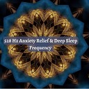 Professor Deep Sleep - 528Hz Positive Transformation Pt 3