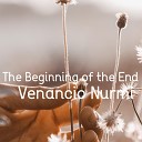 Venancio Nurmi - Instrumental Summer
