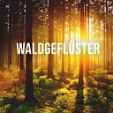 Calming Forest - Waldgefl ster Pt 11