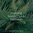 Bath Spa Relaxing Music Zone Instrumental Zen - Melodious Mantra
