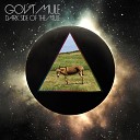 Gov t Mule - Shine On You Crazy Diamond Pts 1 5