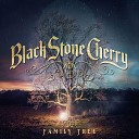 Black Stone Cherry - James Brown