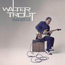 Walter Trout - Never Knew You Well