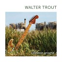 Walter Trout - Open Book