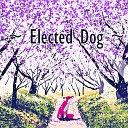 Wanita Gwynne - Elected Dog