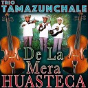 Tr o Tamazunchale - El Gusto