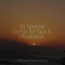 Spa Relaxation Calming Sounds Guided… - Steady Training