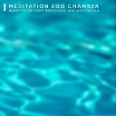 Meditation Music Zone - Detox and Decompress Dideridoo