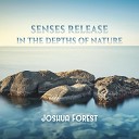 Joshua Forest - The Natural World