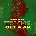 Mark Mick - Tryna get a AK