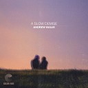 Andrew Bailie - A Slow Demise Color Red Music