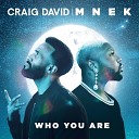 Craig David, MNEK - Who You Are