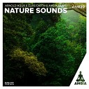 Elias Earth Arnold Aqua Ambia Music - Suburban Forest