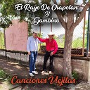 El Rayo De Chapotan Y Gambino - Adios California