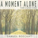 Samuel Boechat - Become Strong by Yourself Piano and Nature…