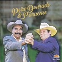 Pe o Dourado Paraense - Divina Arte