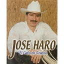 Jose Haro El Gallo De Sinaloa - Mil Cadenas