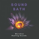 Sound Bath - Liver