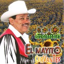 El Mayito Cervantes - La Cantinera