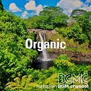 Hawaiian BGM channel - Island Nature