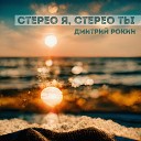 Рокин Дмитрий - Стерео я стерео ты