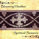 Spiritual Seasons - Star of the County Down