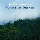 Josef Homola - In a Moment
