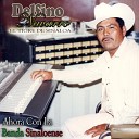 Delfino Navarro El Tigre De Sinaloa - Caminos de la Vida