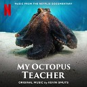 Kevin Smuts Matthew Dennis - My Octopus Teacher End Credits