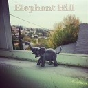 Elephant Hill - Ignorance Was Bliss