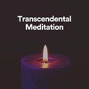 Meditation Zen - Calm Music for Sleeping Pt 10